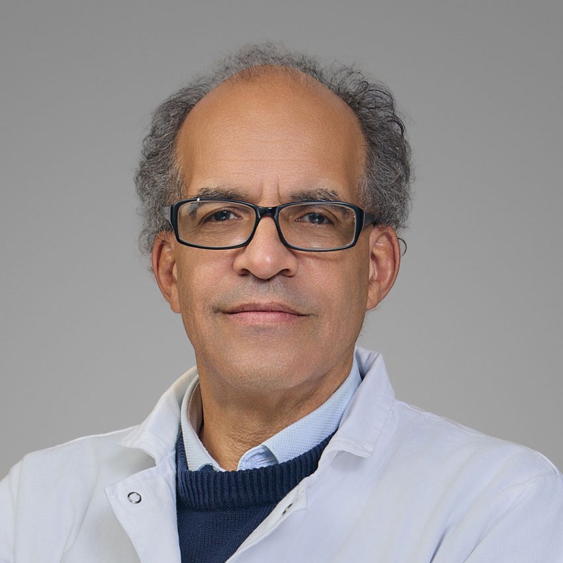Portrait of Olivier Hermine, MD, PhD